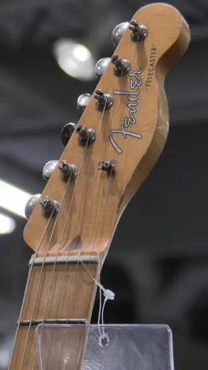 Fender - J Mascis Telecaster 2